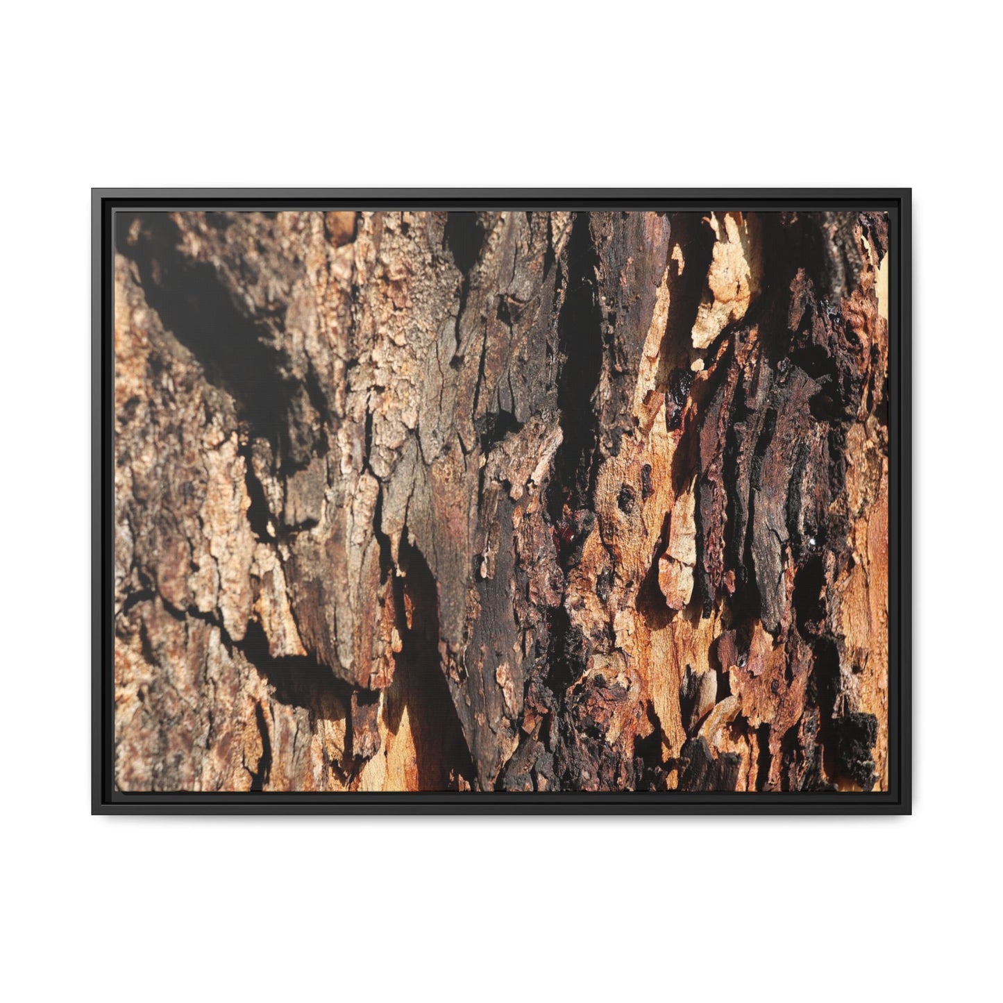 Rugged Beauty - Unique Stretched Canvas Wall Art - Art By Earth