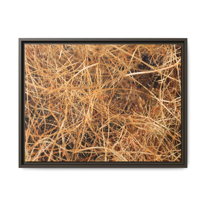 Dried Grass - Unique Stretched Canvas Wall Art - Art By Earth