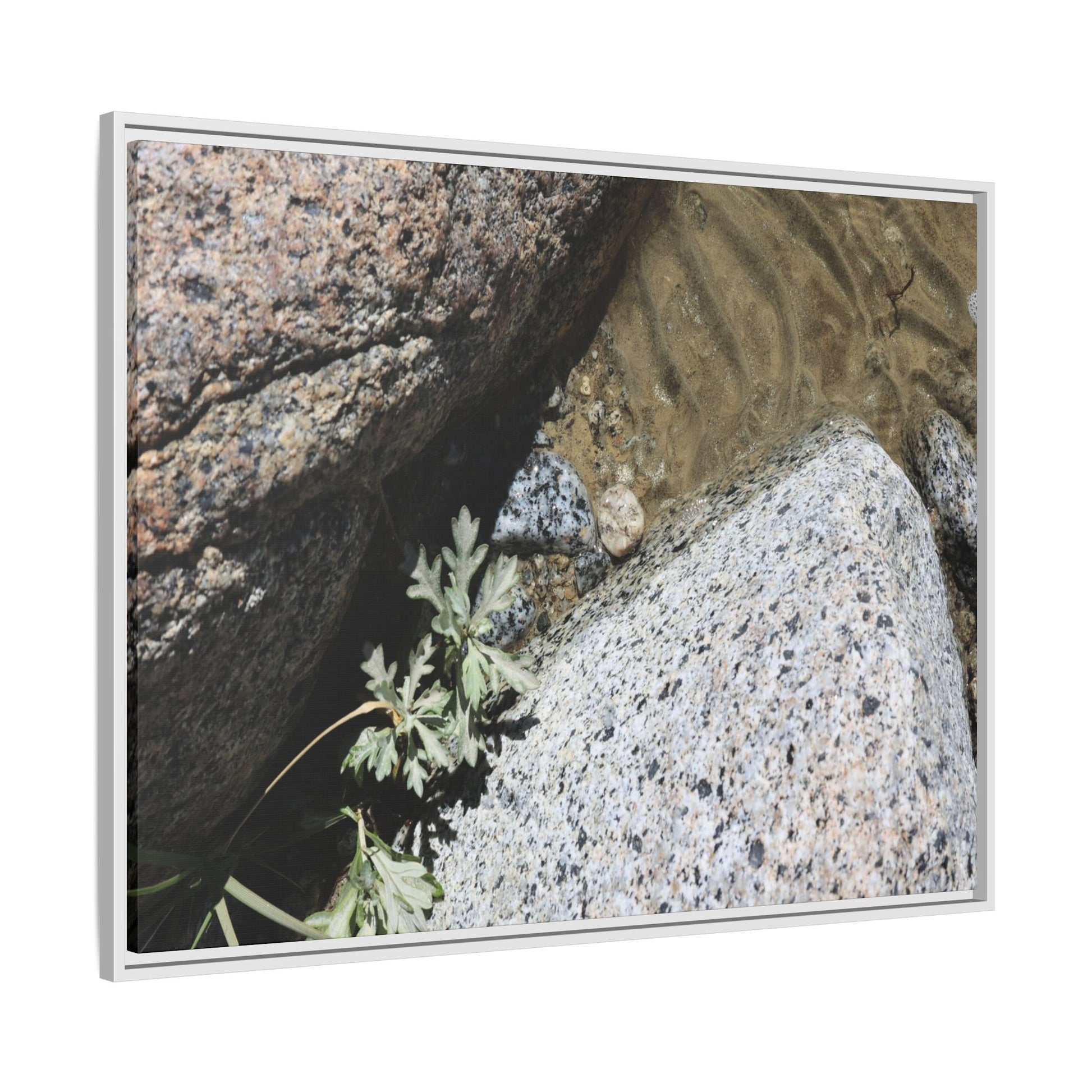 Resilience in Stone - Unique Stretched Canvas Wall Art - Art By Earth