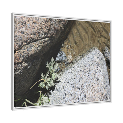 Resilience in Stone - Unique Stretched Canvas Wall Art - Art By Earth