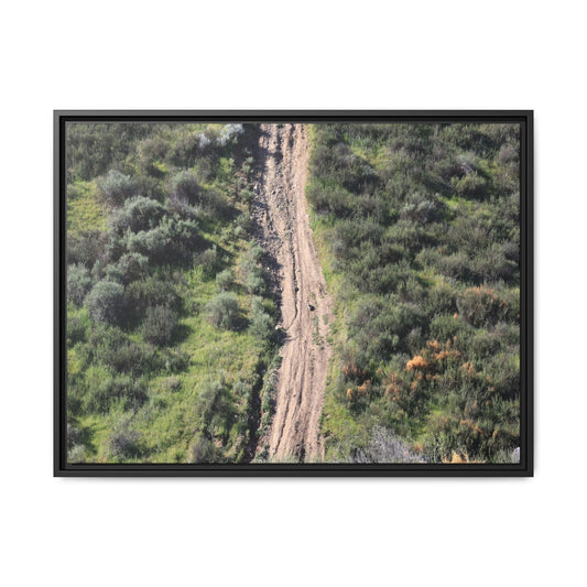 Desert Path Through Sage - Unique Stretched Canvas Wall Art - Art By Earth