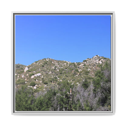 Sparse Vegetation - Unique Stretched Canvas Wall Art