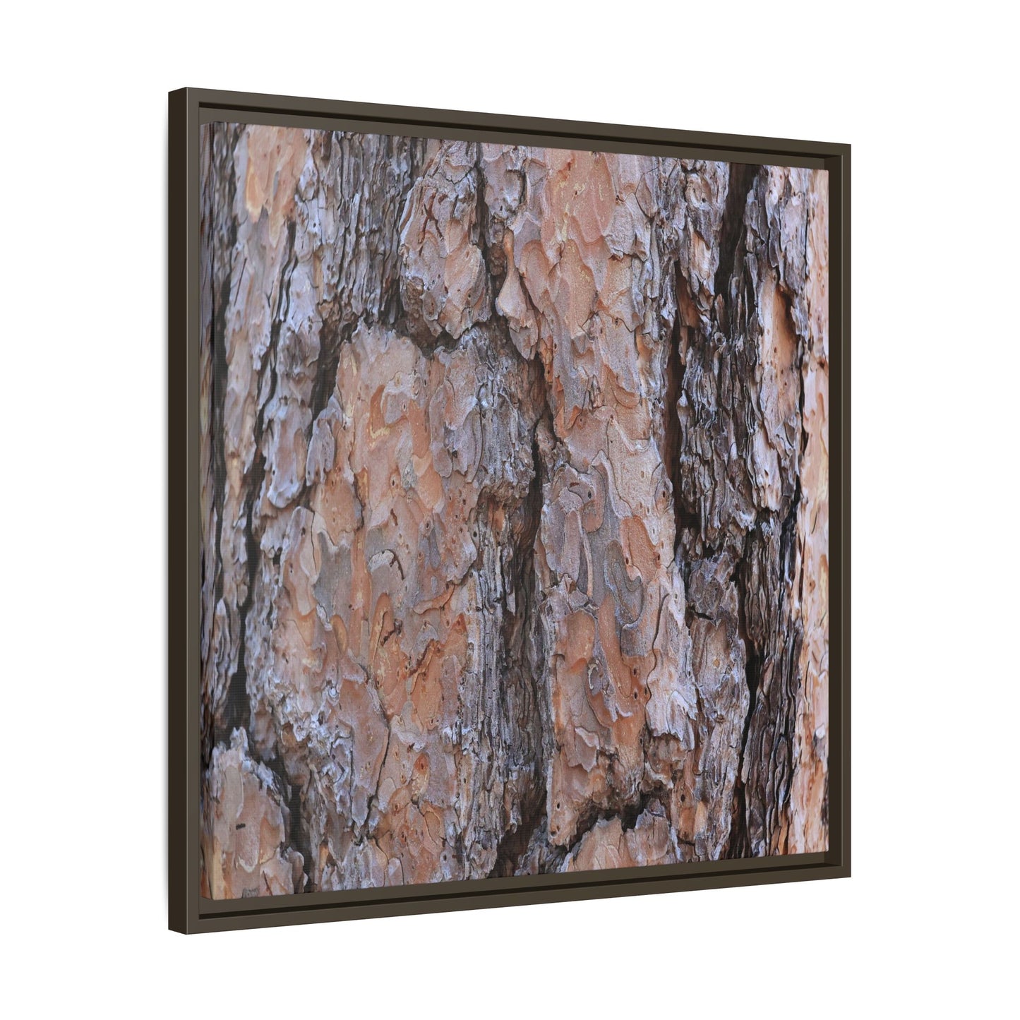 Tree Skin Symphony - Unique Stretched Canvas Wall Art - Art By Earth