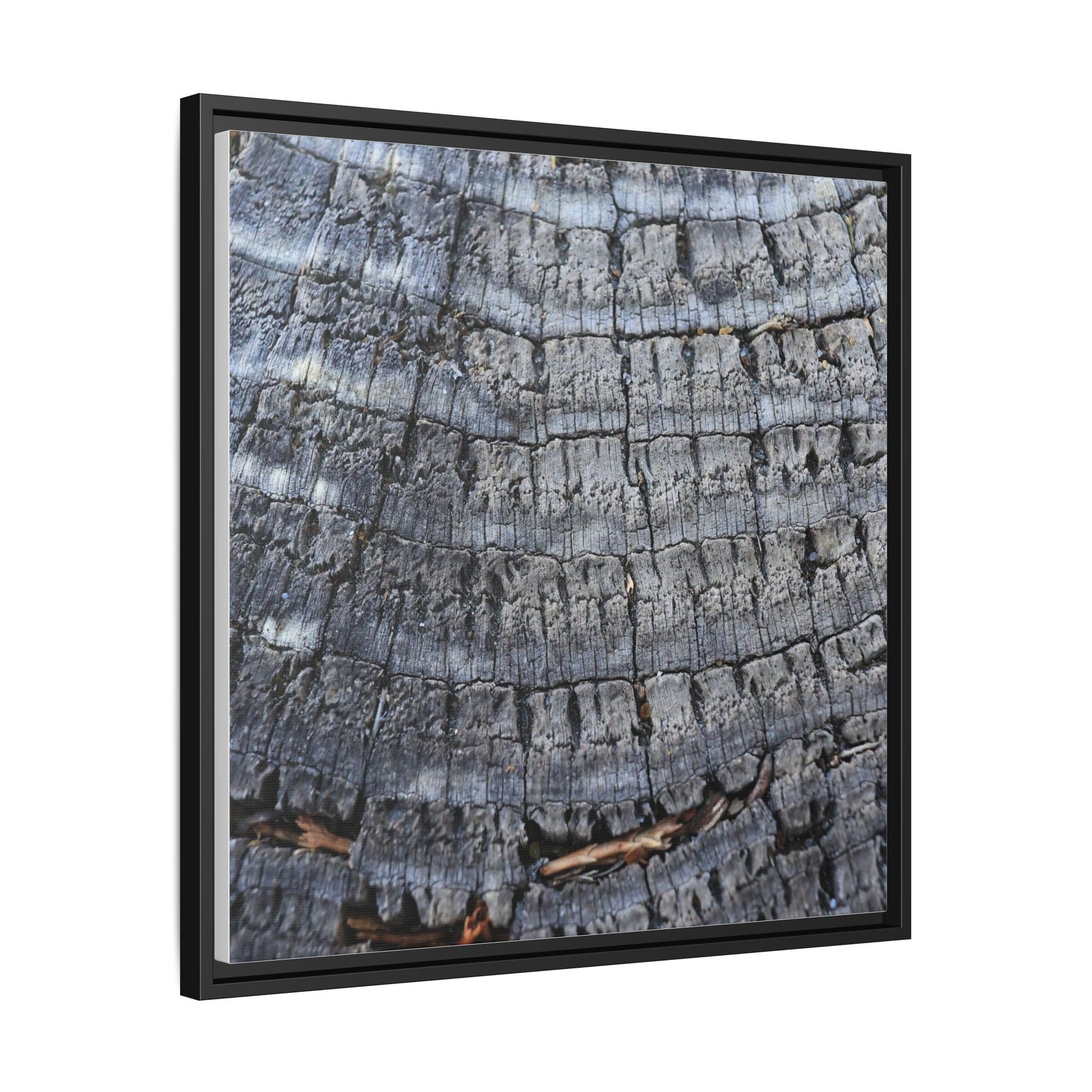 Charred Memories - Unique Stretched Canvas Wall Art - Art By Earth