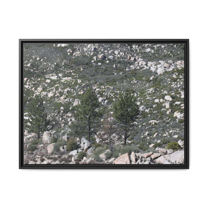 Rocky Hillside with Pine Trees - Unique Stretched Canvas Wall Art - Art By Earth