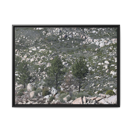 Rocky Hillside with Pine Trees - Unique Stretched Canvas Wall Art - Art By Earth