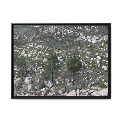 Rocky Hillside with Pine Trees - Unique Stretched Canvas Wall Art - Art By Earth