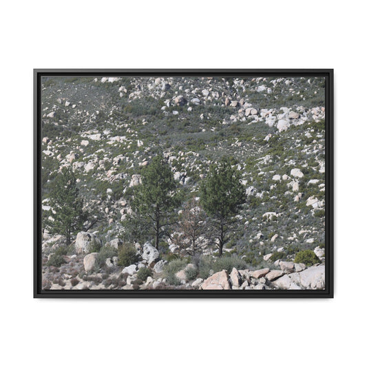 Rocky Hillside with Pine Trees - Unique Stretched Canvas Wall Art - Art By Earth