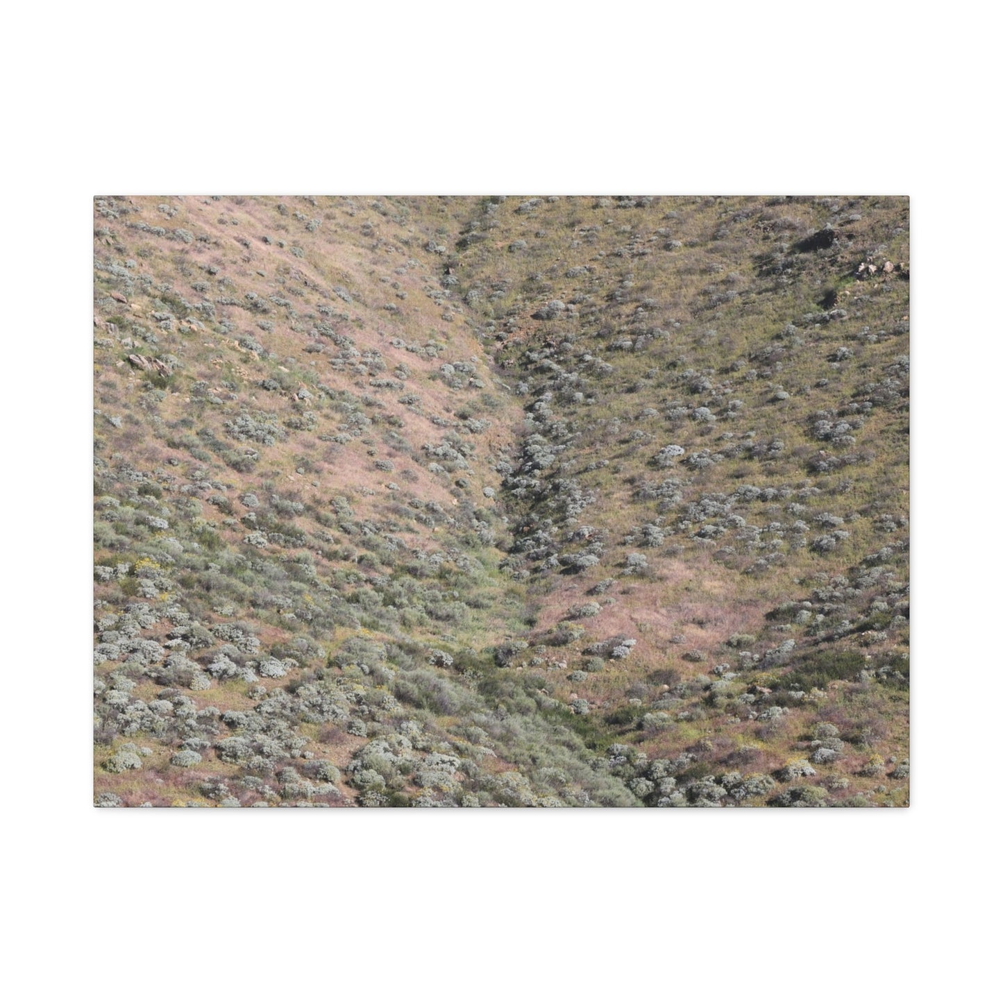 Desert Hillside - Unique Frameless Canvas Wall Art - Art By Earth