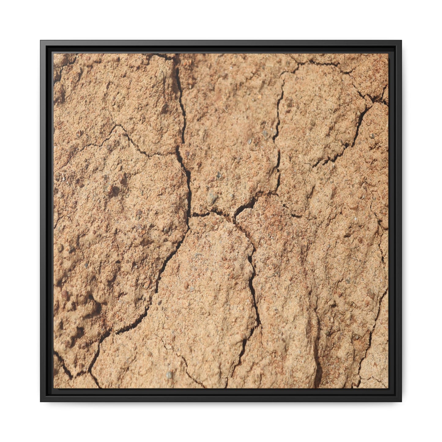 Parched Land - Unique Stretched Canvas Wall Art - Art By Earth