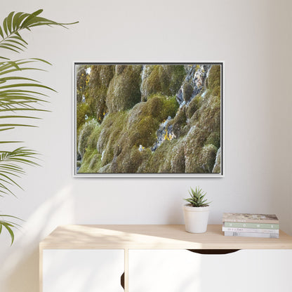 Moss Symphony - Unique Stretched Canvas Wall Art