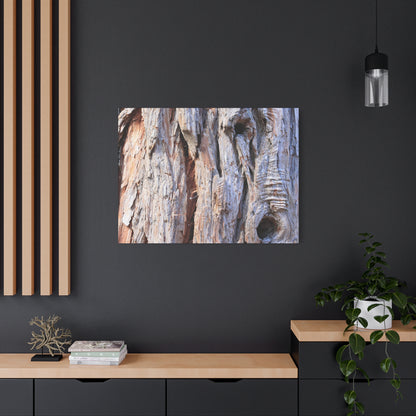 Aged Bark Surface - Unique Frameless Canvas Wall Art - Art By Earth