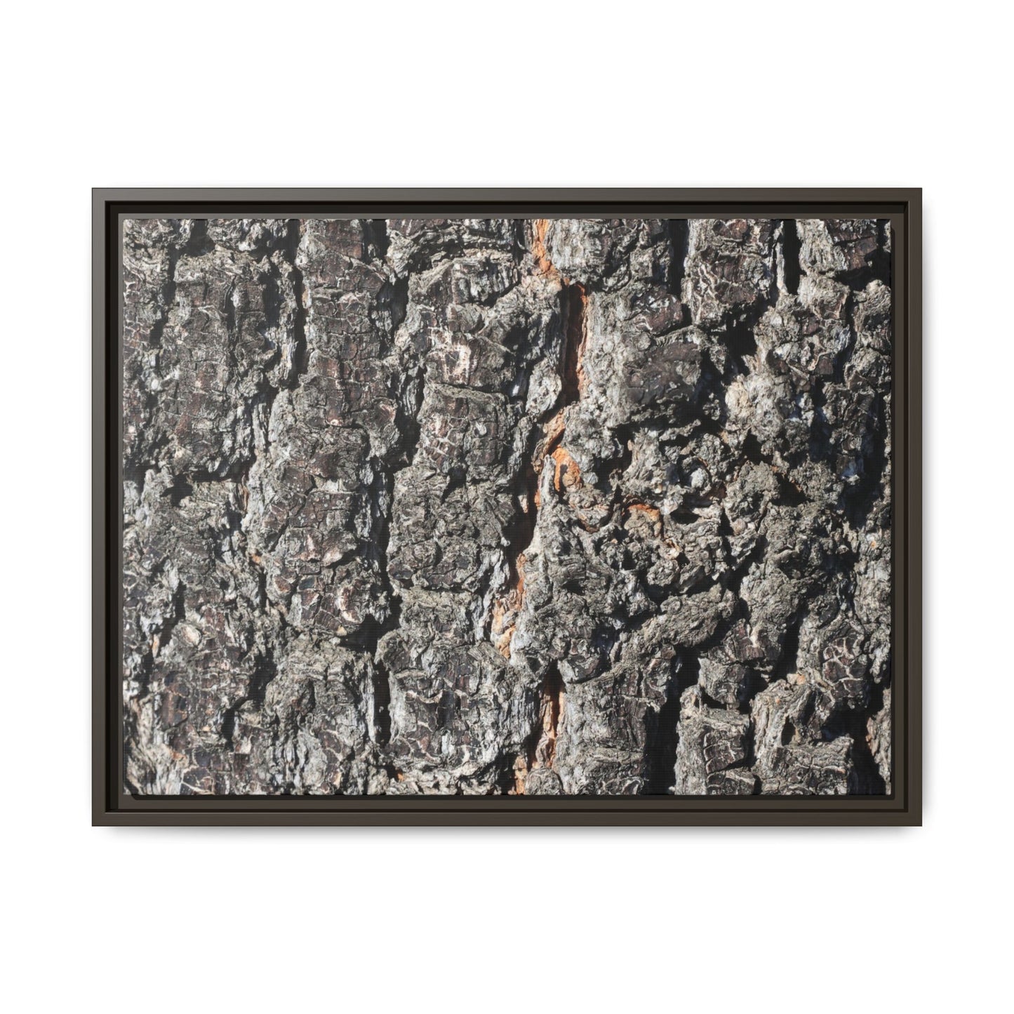 Aged Beauty - Unique Stretched Canvas Wall Art - Art By Earth