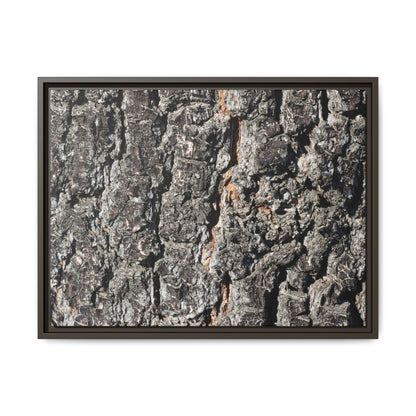 Aged Beauty - Unique Stretched Canvas Wall Art - Art By Earth