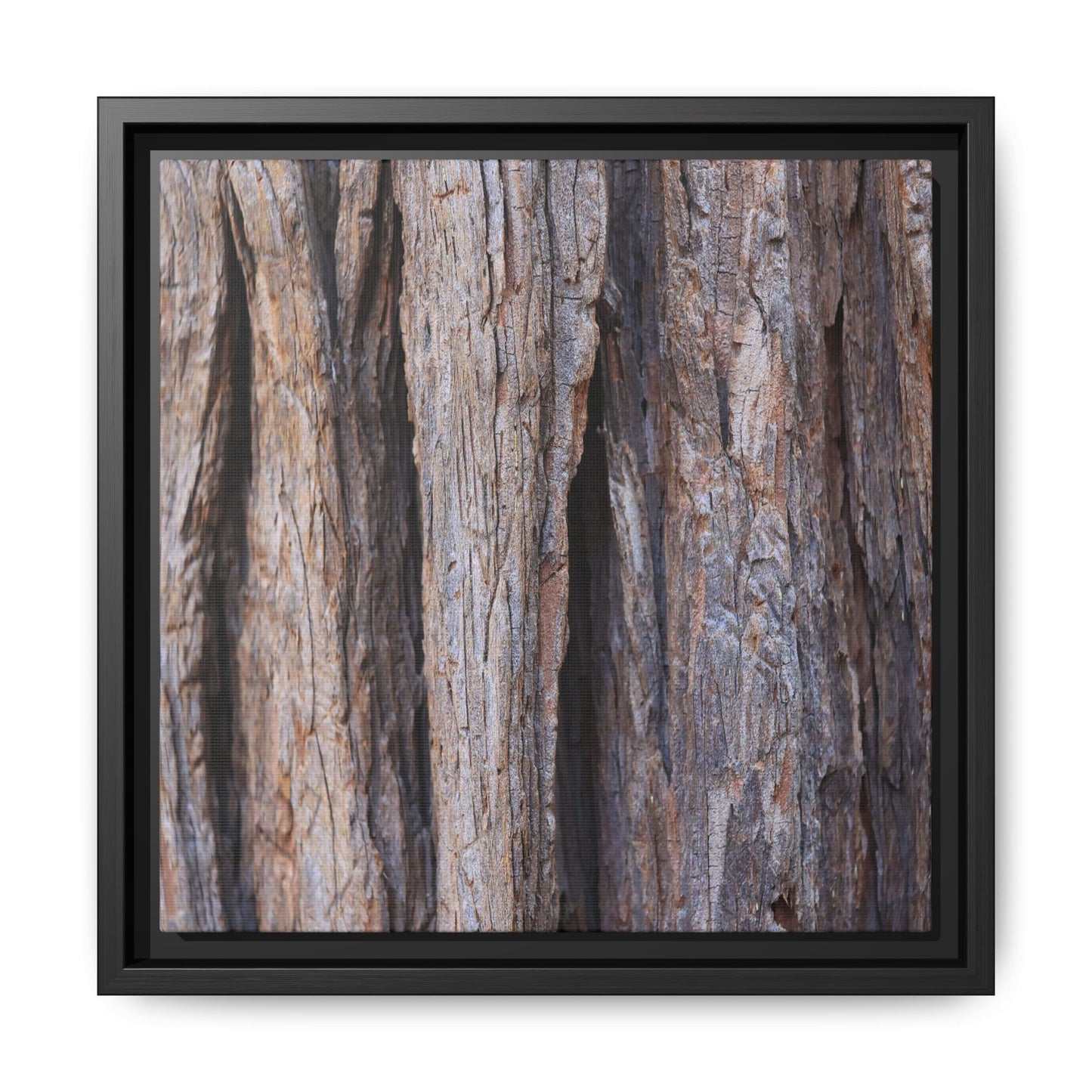 Ancient Grains - Unique Stretched Canvas Wall Art - Art By Earth