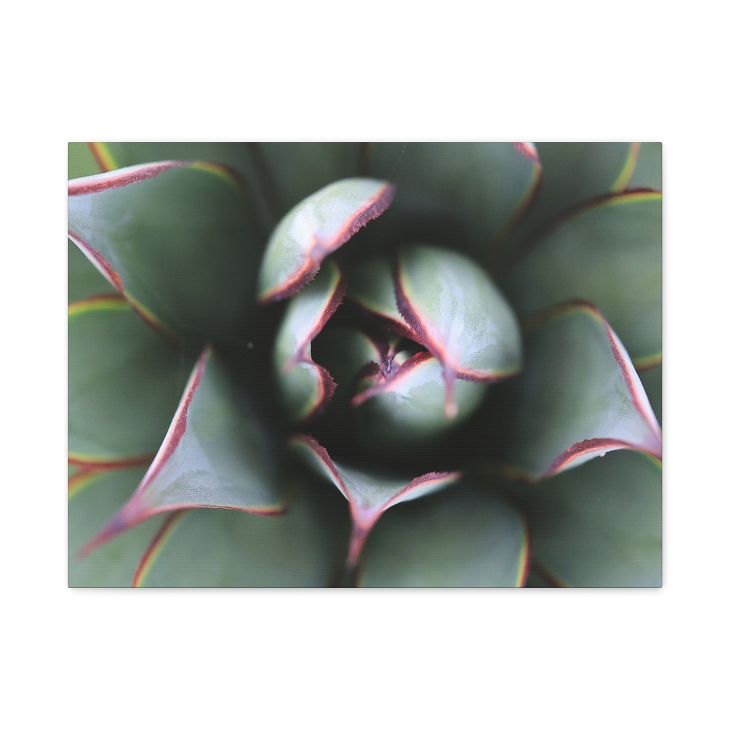 Emerald Spiral - Unique Frameless Canvas Wall Art - Art By Earth