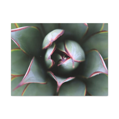 Emerald Spiral - Unique Frameless Canvas Wall Art - Art By Earth