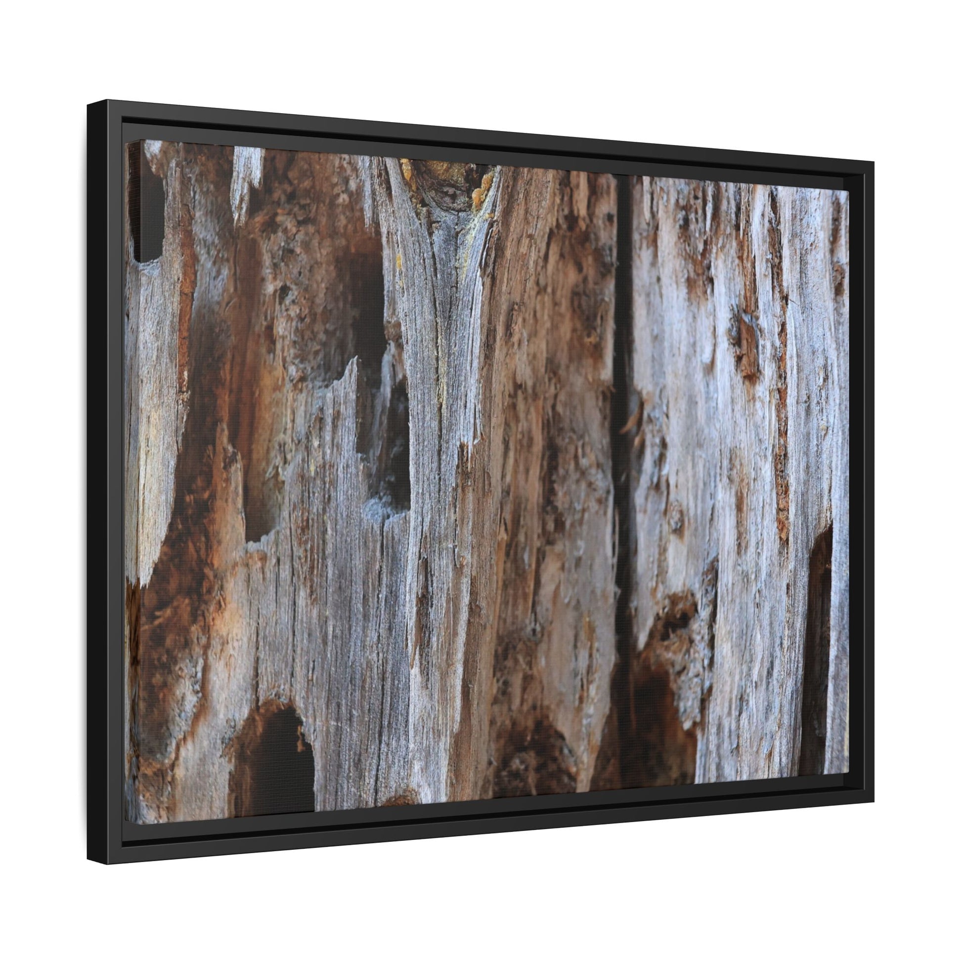 Decaying Splendor - Unique Stretched Canvas Wall Art - Art By Earth