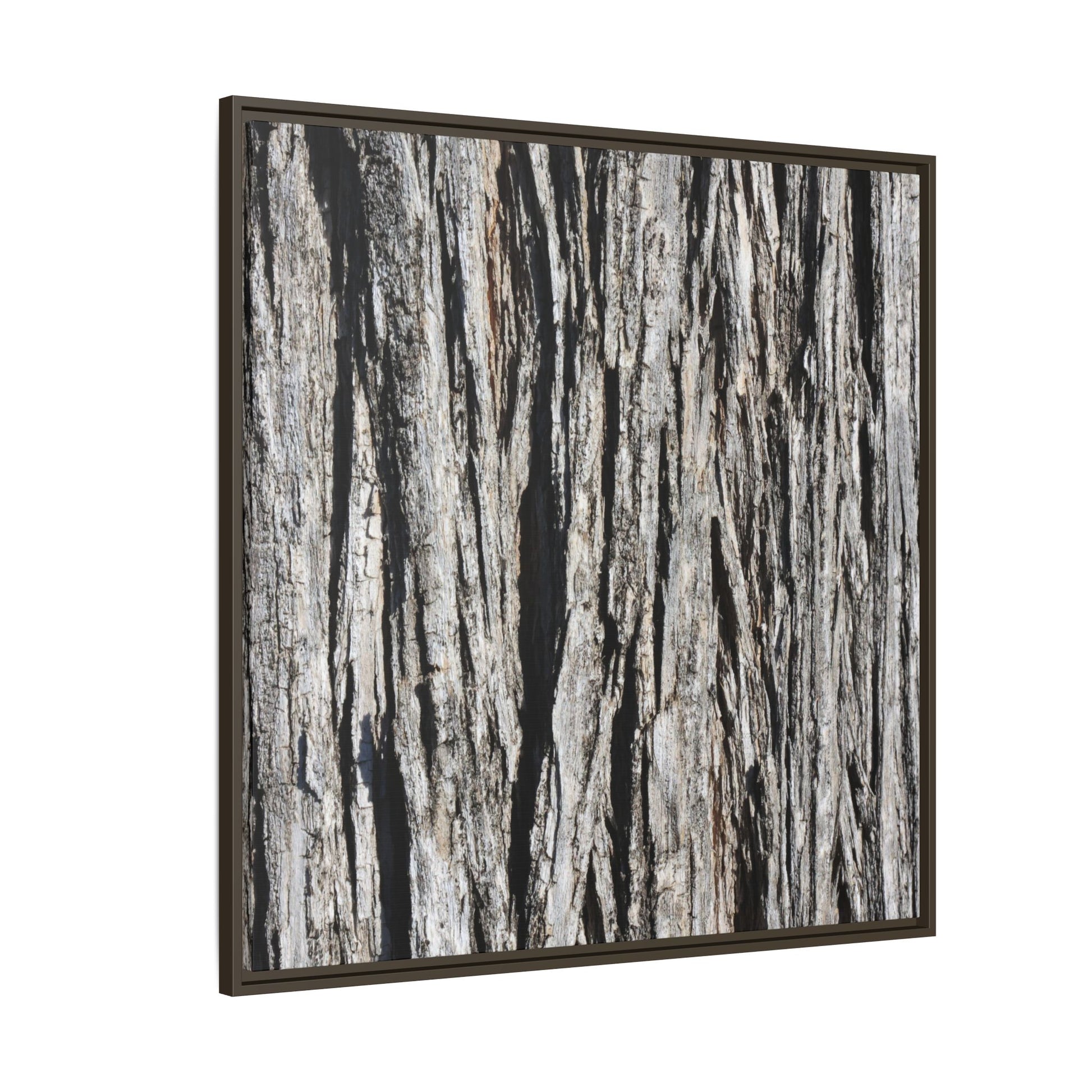 Bark Lines - Unique Stretched Canvas Wall Art - Art By Earth