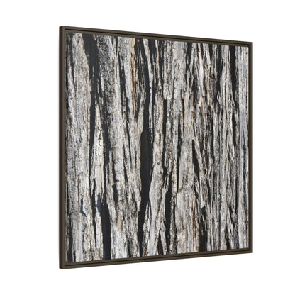 Bark Lines - Unique Stretched Canvas Wall Art - Art By Earth
