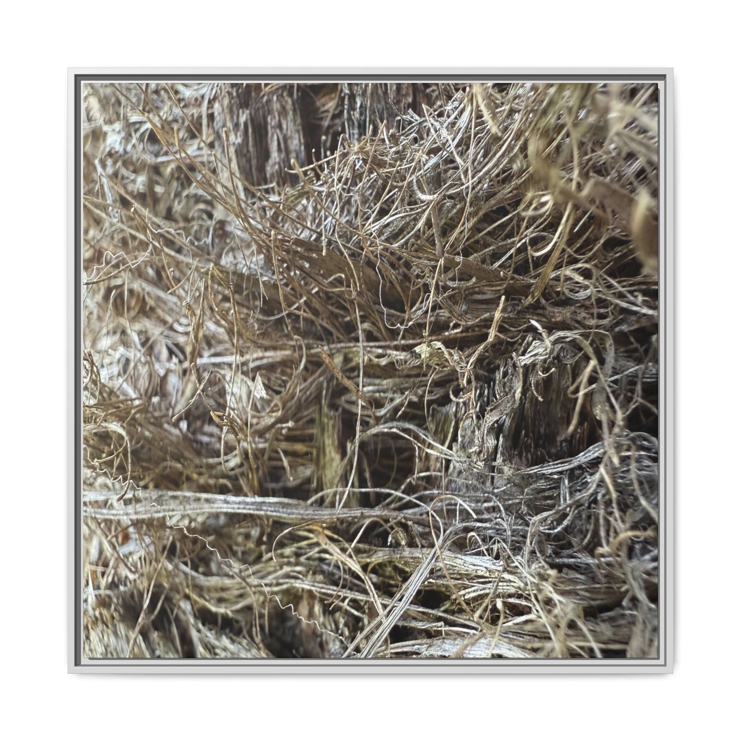 Tangled Whispers of Autumn - Unique Stretched Canvas Wall Art - Art By Earth