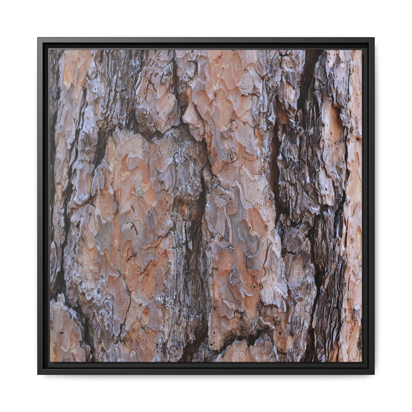 Tree Skin Symphony - Unique Stretched Canvas Wall Art - Art By Earth