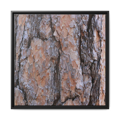 Tree Skin Symphony - Unique Stretched Canvas Wall Art - Art By Earth