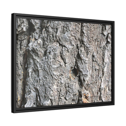 Crusty Exterior - Unique Stretched Canvas Wall Art - Art By Earth