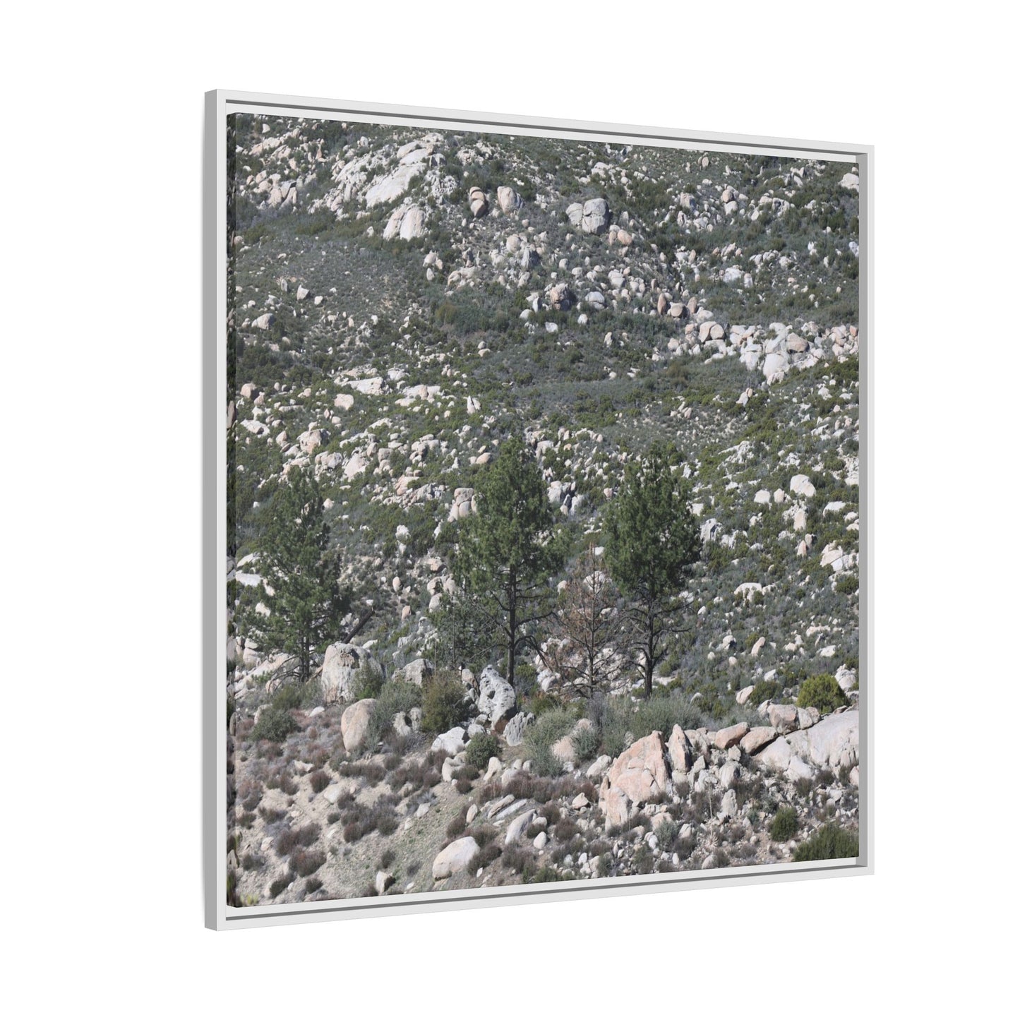 Rocky Hillside with Pine Trees - Unique Stretched Canvas Wall Art - Art By Earth