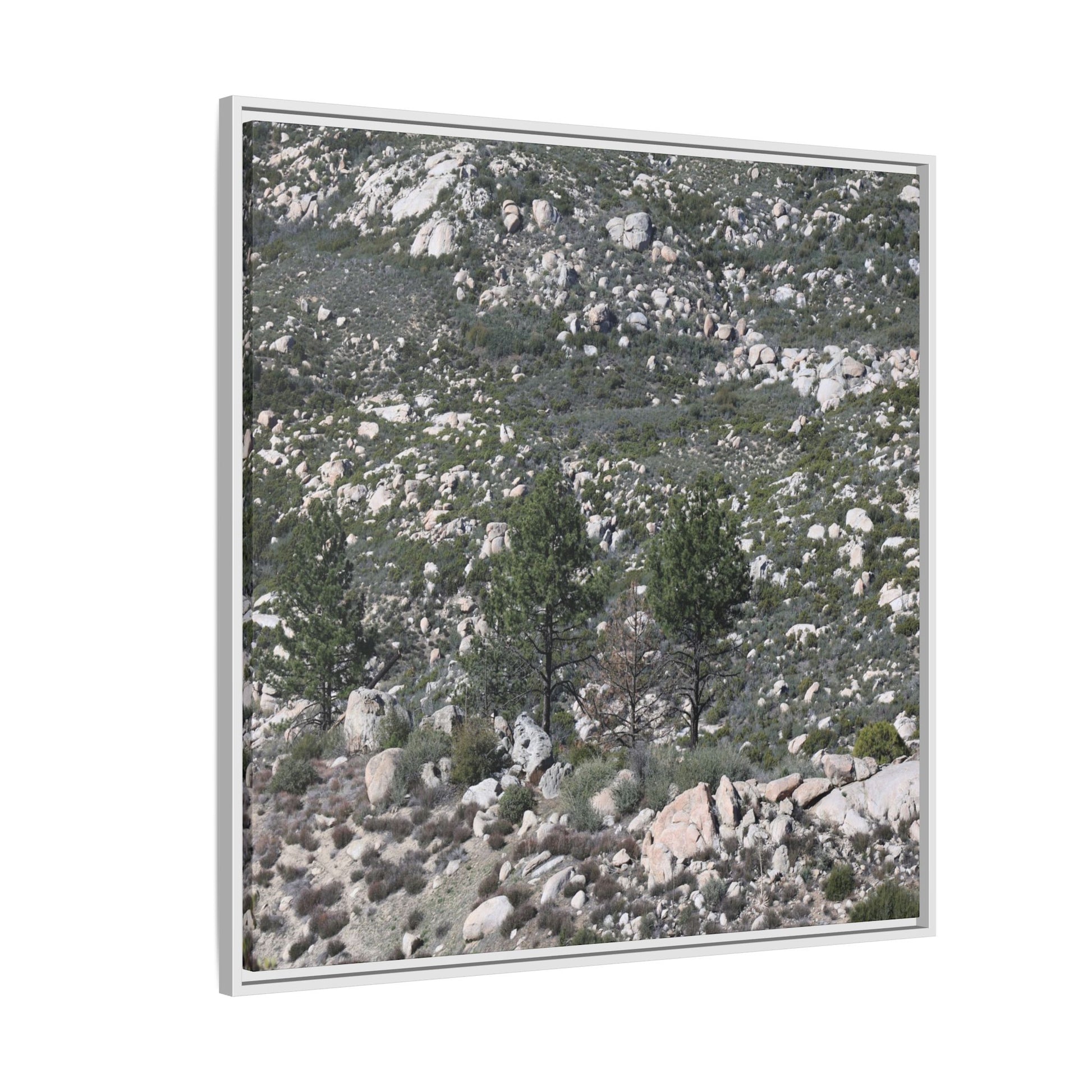 Rocky Hillside with Pine Trees - Unique Stretched Canvas Wall Art - Art By Earth