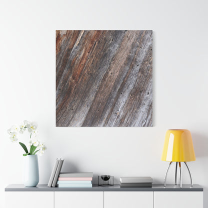Aged Timber Surface - Unique Frameless Canvas Wall Art - Art By Earth