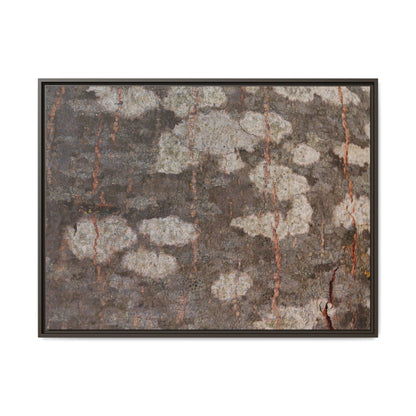 Lichen's Legacy - Unique Stretched Canvas Wall Art - Art By Earth
