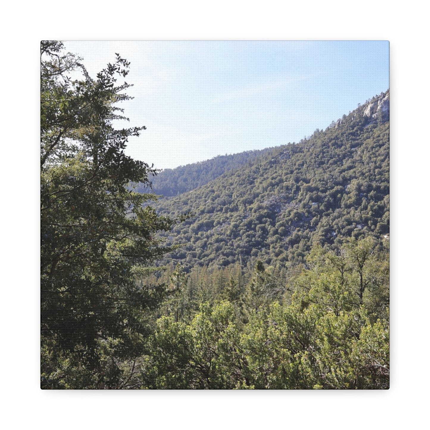 Mountain Vista Through Forest - Unique Frameless Canvas Wall Art