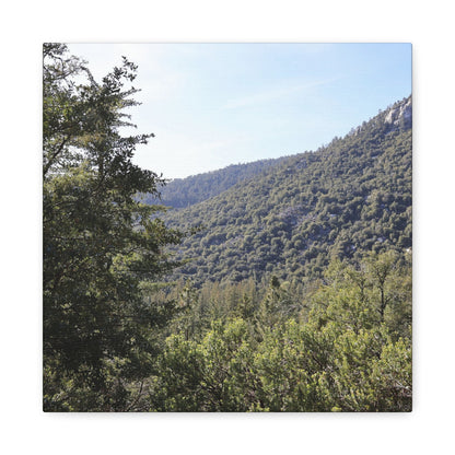Mountain Vista Through Forest - Unique Frameless Canvas Wall Art