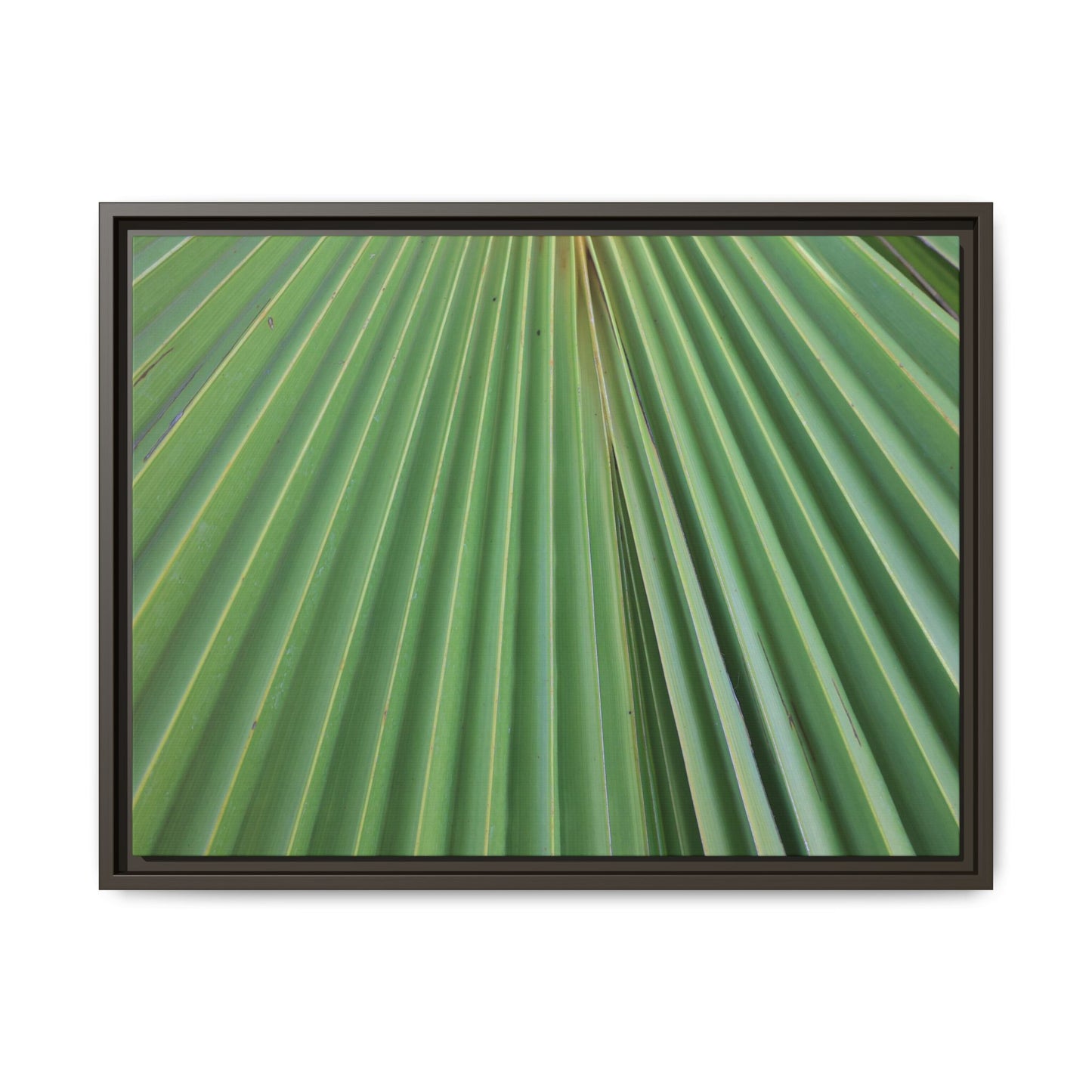 Verdant Veins - Unique Stretched Canvas Wall Art - Art By Earth