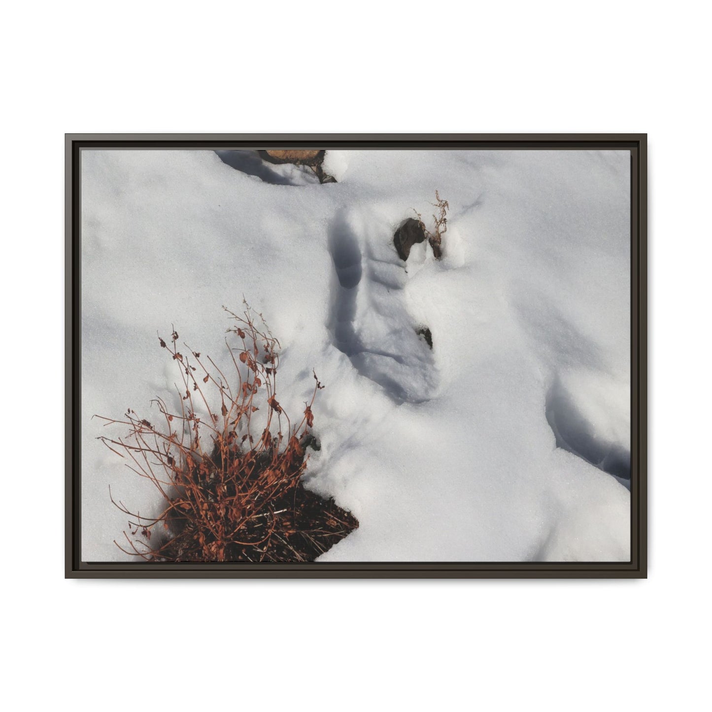 Frostbound Whispers - Unique Stretched Canvas Wall Art