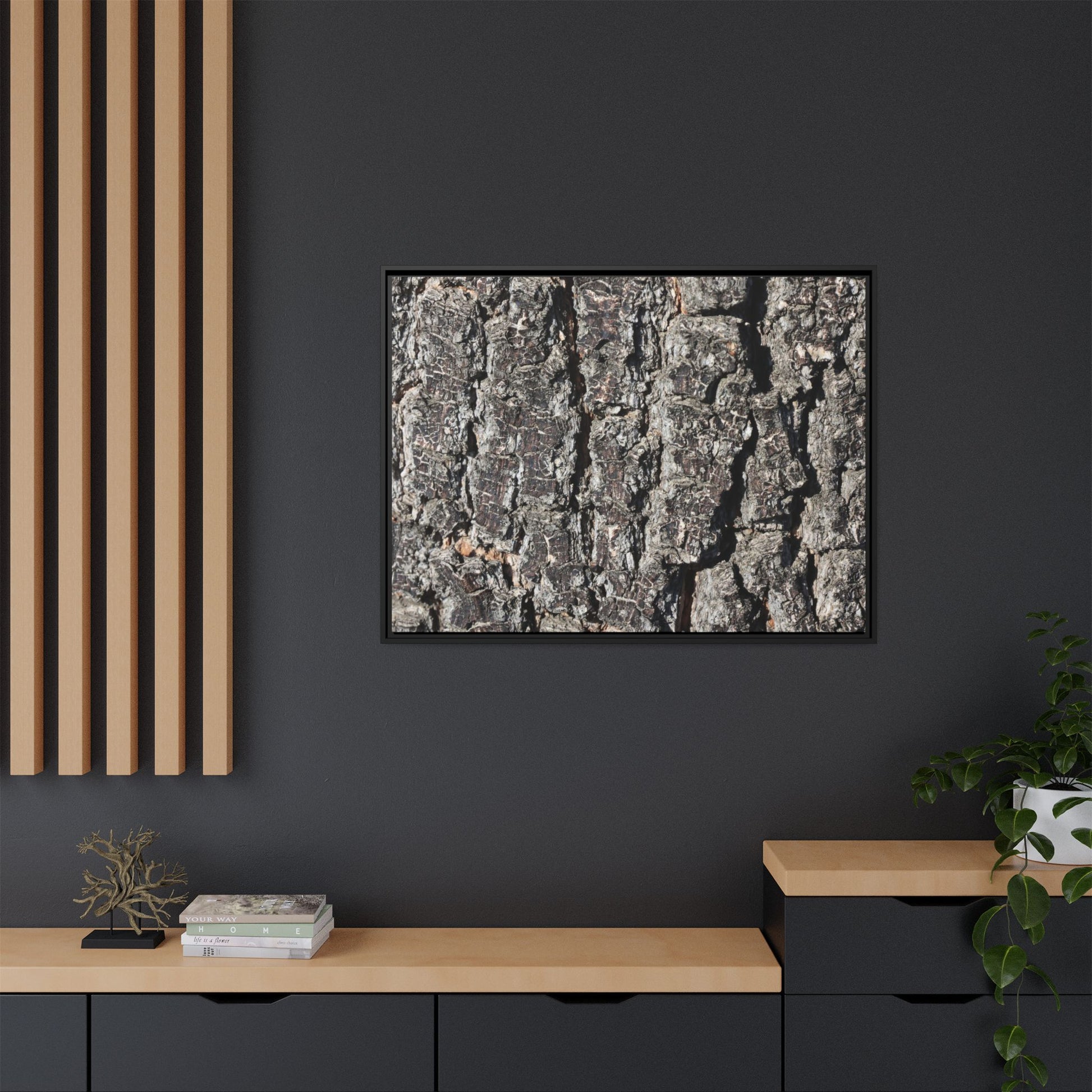 Bark Study in Gray - Unique Stretched Canvas Wall Art - Art By Earth