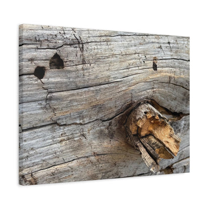 Weathered Wood Portrait - Unique Frameless Canvas Wall Art - Art By Earth