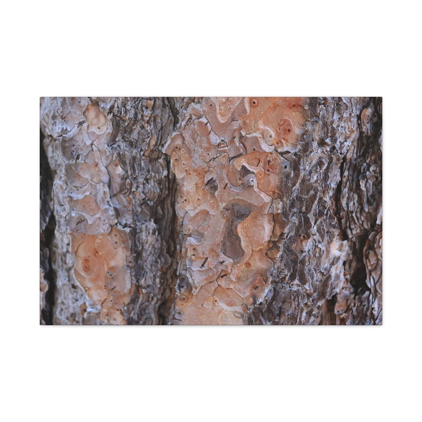 Terracotta Textures - Unique Frameless Canvas Wall Art - Art By Earth