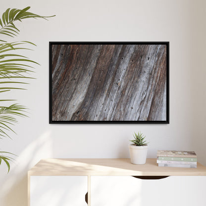 Aged Timber Texture - Unique Stretched Canvas Wall Art - Art By Earth