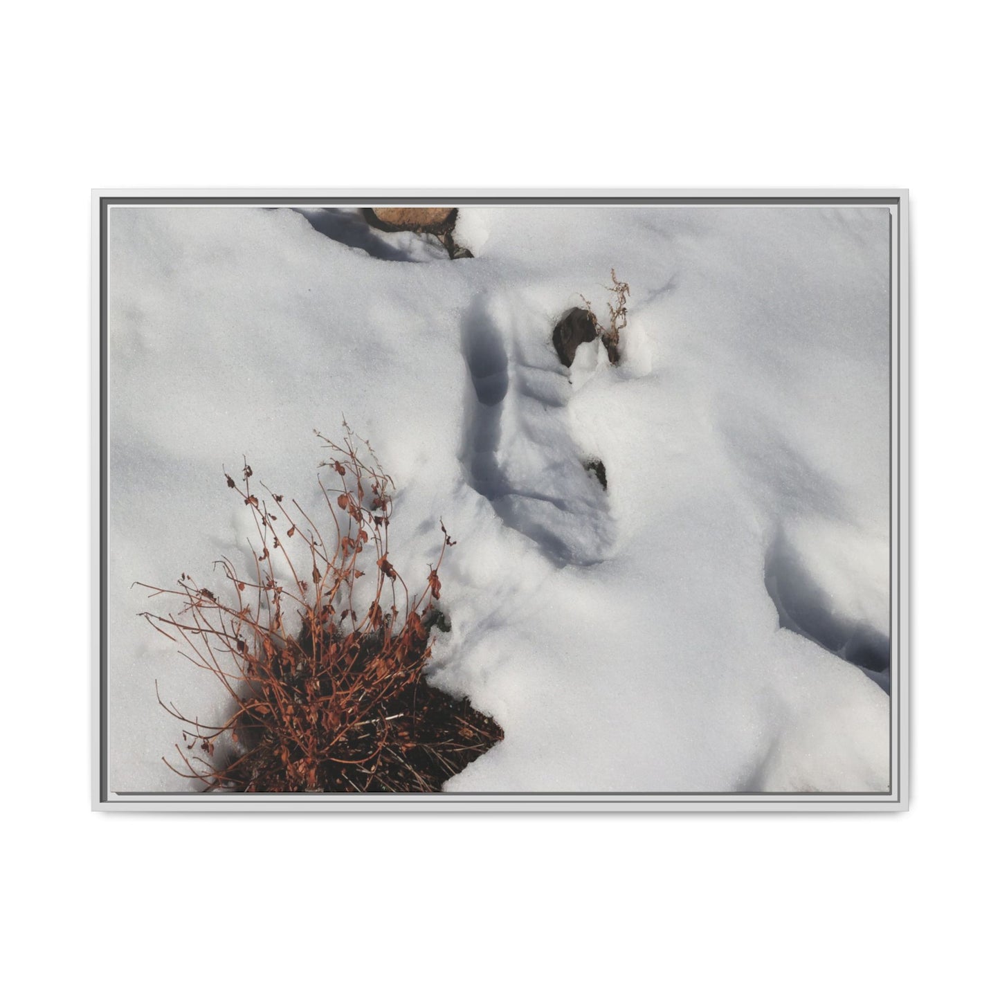 Frostbound Whispers - Unique Stretched Canvas Wall Art