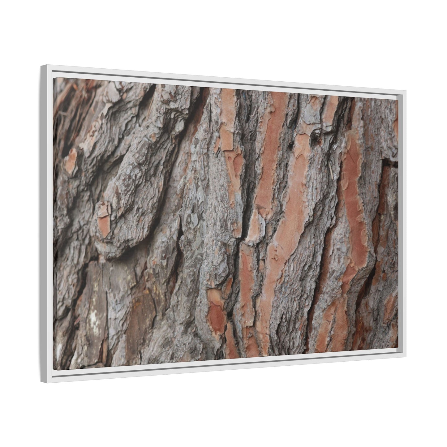 Woodland Layers - Unique Stretched Canvas Wall Art - Art By Earth