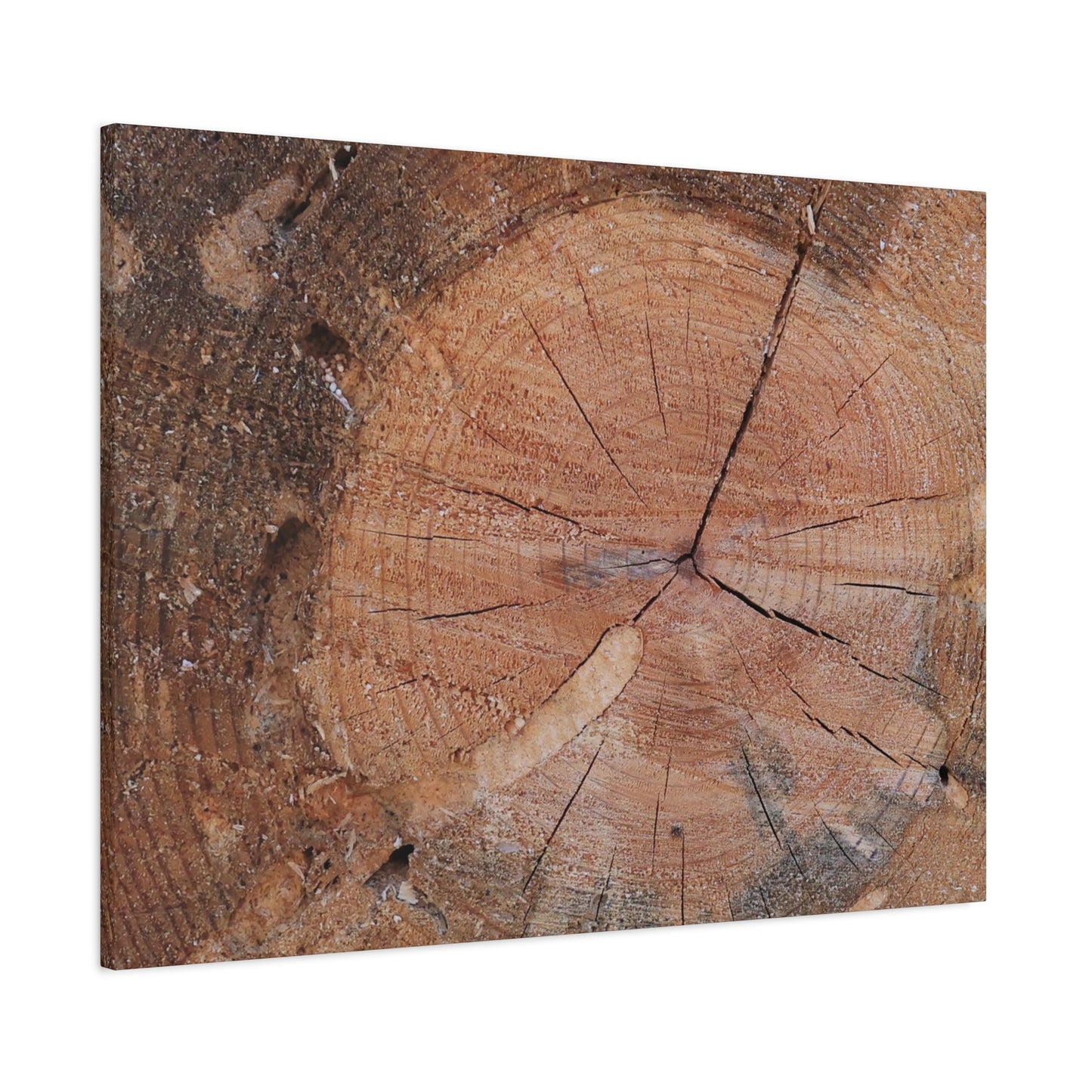 Timber Tale - Unique Frameless Canvas Wall Art - Art By Earth