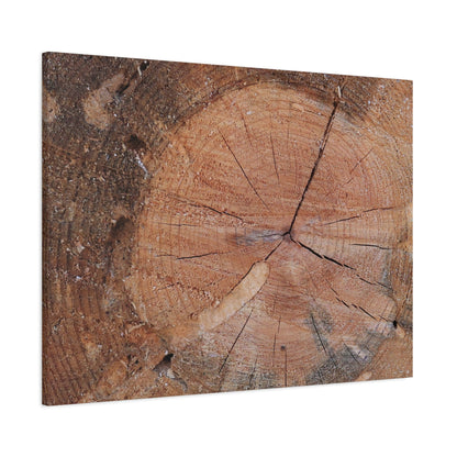 Timber Tale - Unique Frameless Canvas Wall Art - Art By Earth