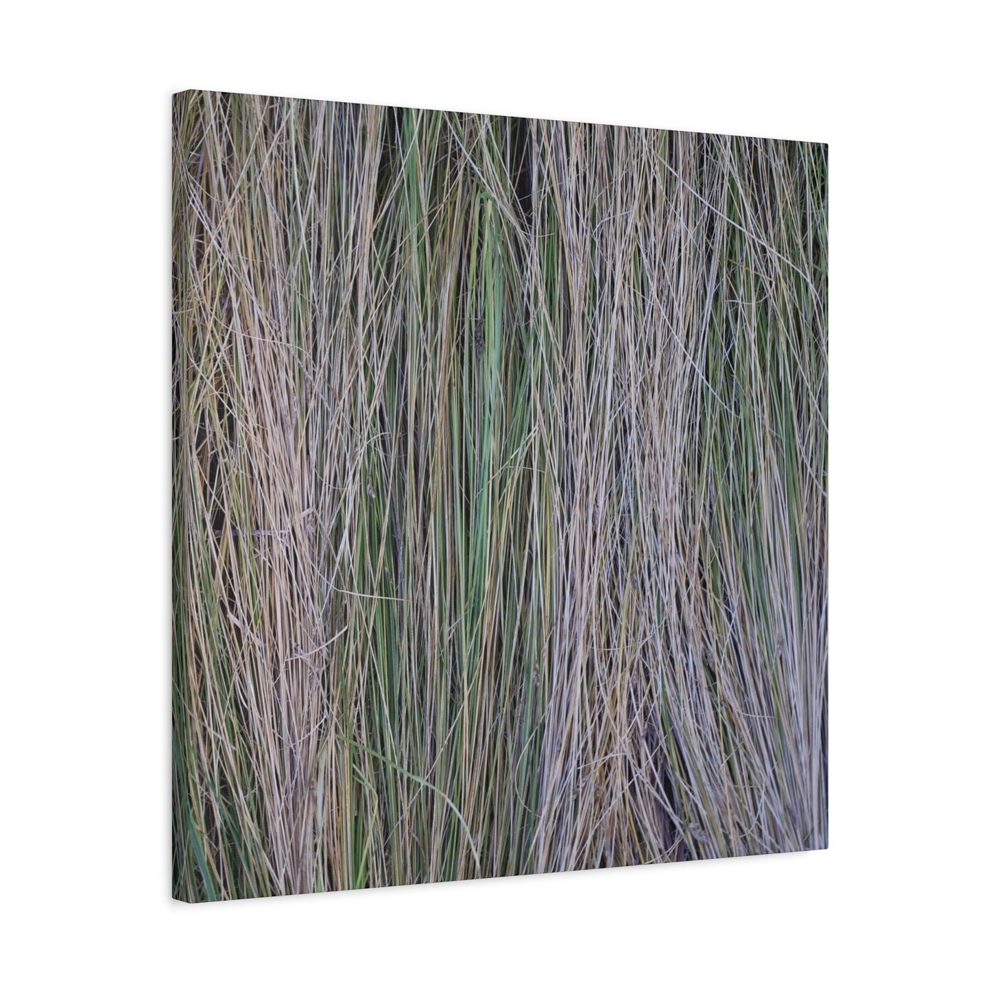 Whispers of Grass - Unique Frameless Canvas Wall Art - Art By Earth