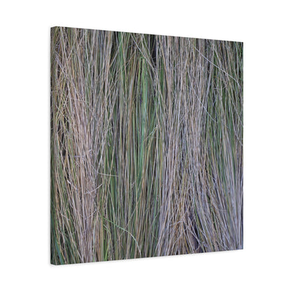 Whispers of Grass - Unique Frameless Canvas Wall Art - Art By Earth