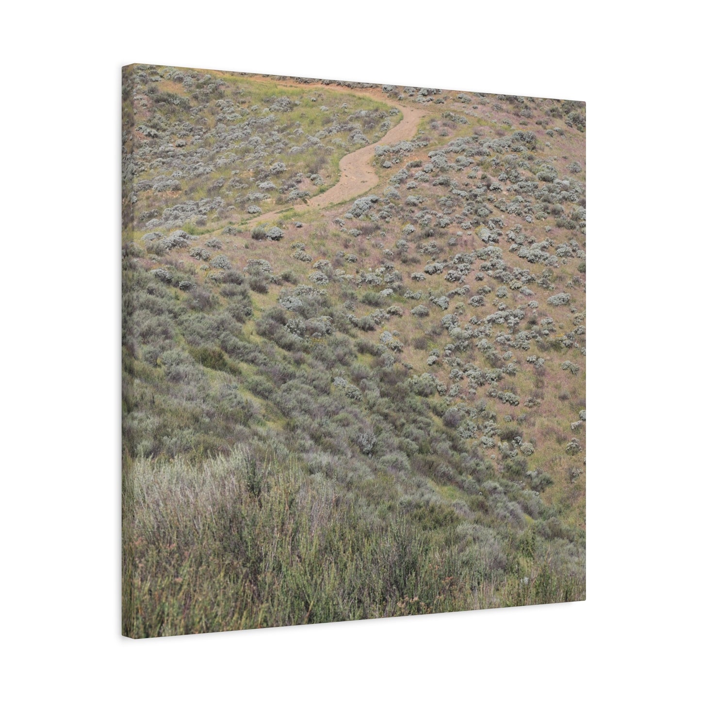 Desert Path Through Sagebrush - Unique Frameless Canvas Wall Art - Art By Earth