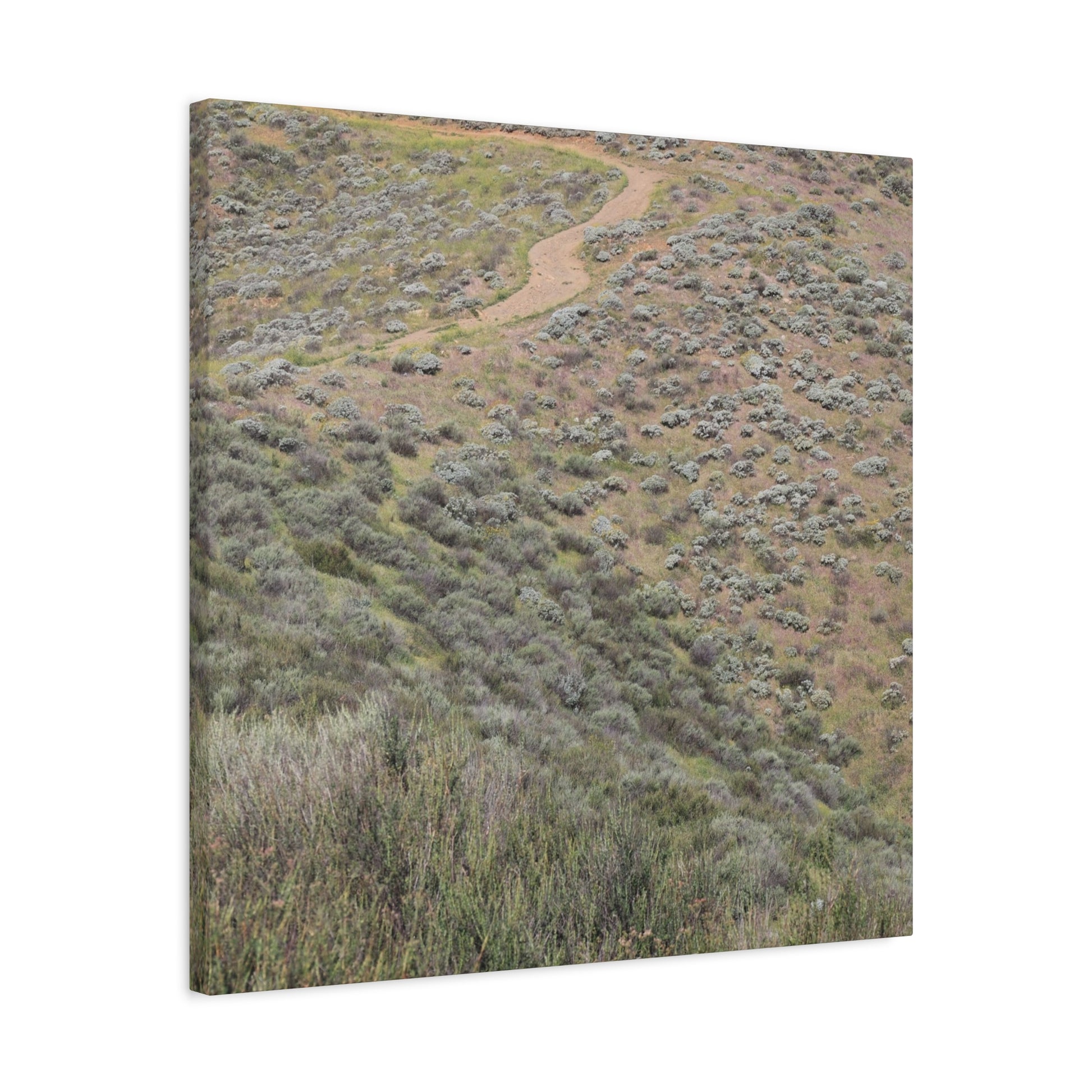 Desert Path Through Sagebrush - Unique Frameless Canvas Wall Art - Art By Earth