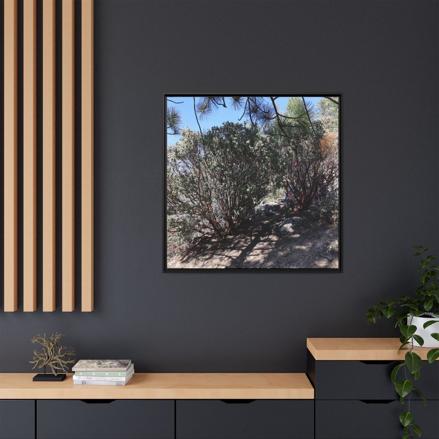 Desert Trail Through Blooming Manzanita - Unique Stretched Canvas Wall Art