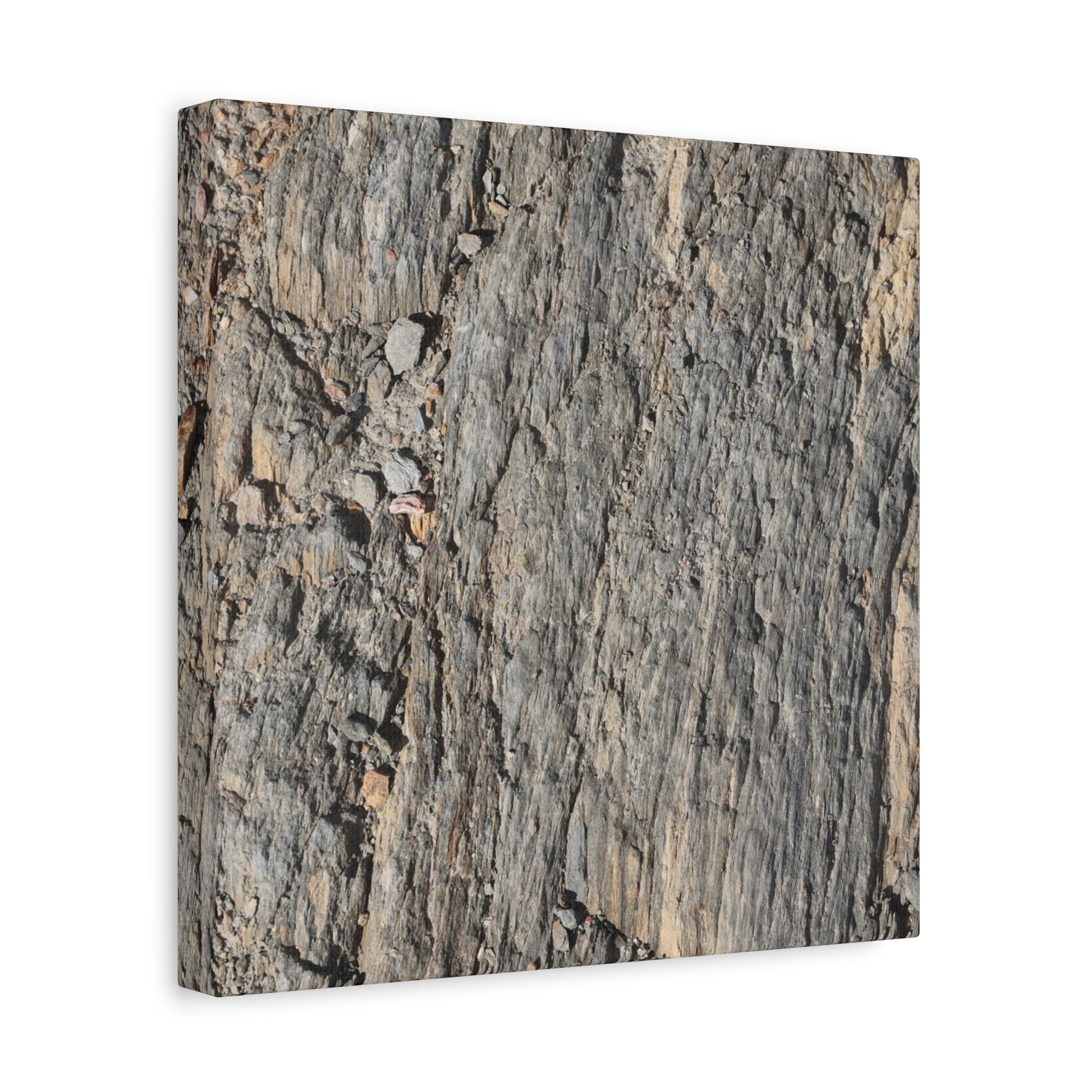 Bark Echoes - Unique Frameless Canvas Wall Art - Art By Earth